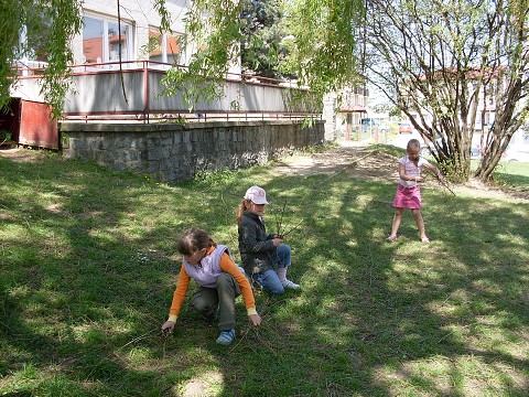 img00007.jpg