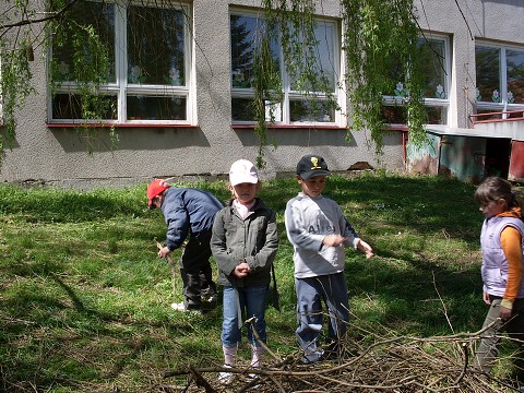img00008.jpg