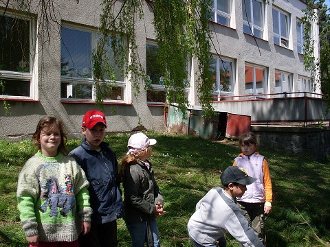 img00009.jpg