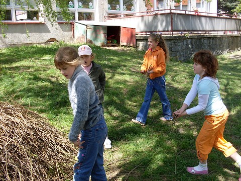 img00010.jpg