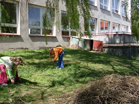 img00011.jpg