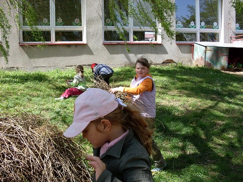 img00013.jpg