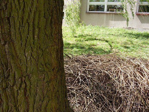 img00014.jpg