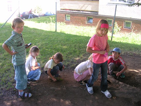 img00005.jpg