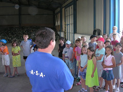 img00015.jpg