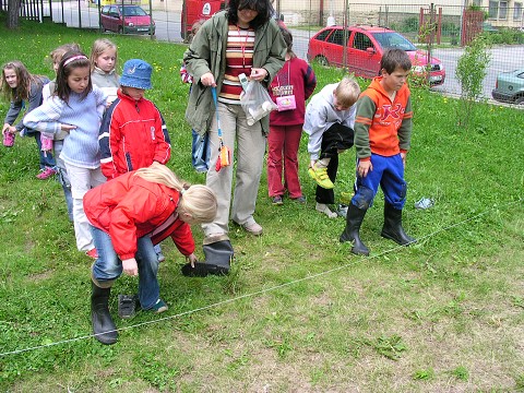 img00001.jpg