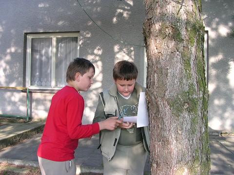 img00002.jpg