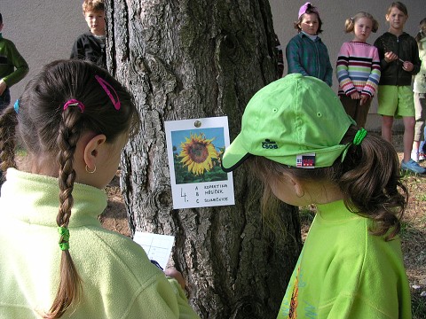 img00005.jpg