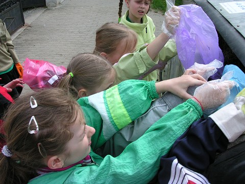 img00010.jpg
