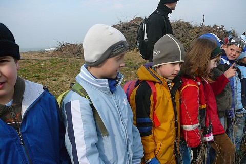 img00034.jpg