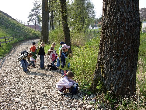 img00021.jpg