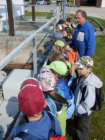 img00036.jpg
