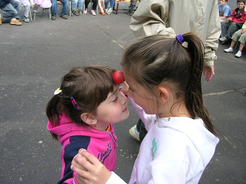 img00009.jpg