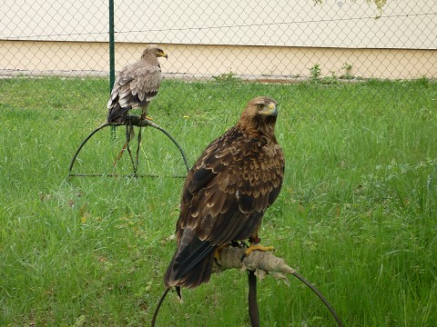 img00004.jpg