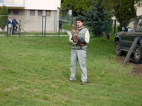 img00005.jpg