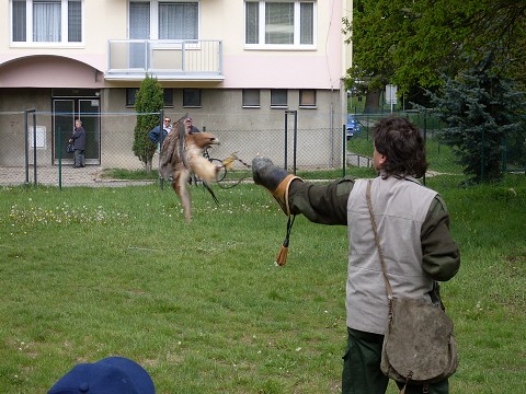 img00006.jpg