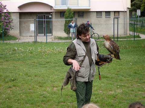 img00009.jpg