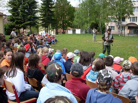 img00011.jpg