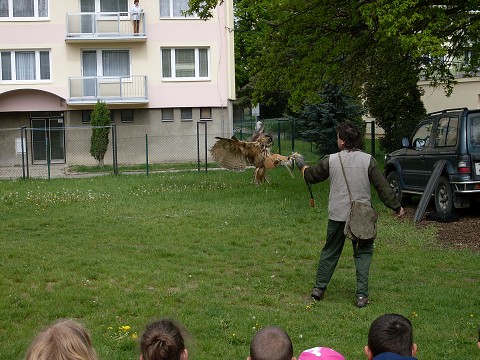 img00012.jpg