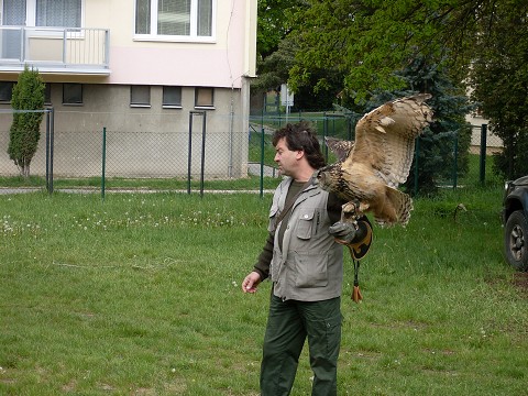 img00013.jpg