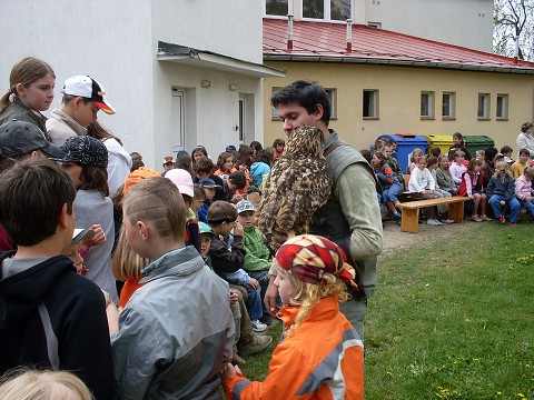 img00015.jpg