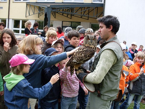 img00016.jpg