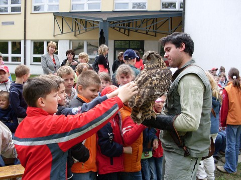 img00017.jpg