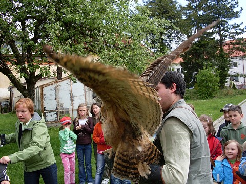 img00018.jpg