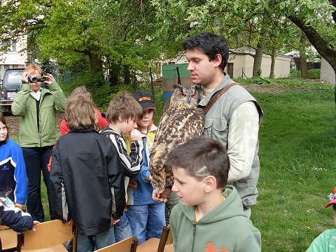 img00019.jpg