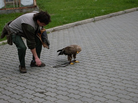 img00021.jpg