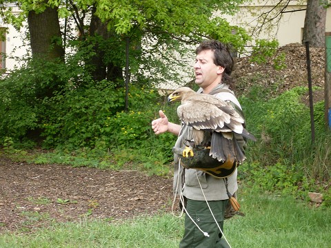 img00022.jpg