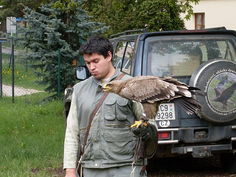 img00023.jpg