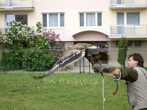 img00024.jpg