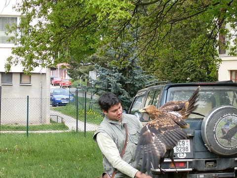 img00025.jpg