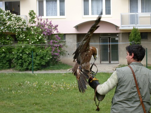 img00026.jpg