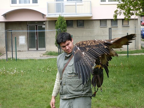img00027.jpg