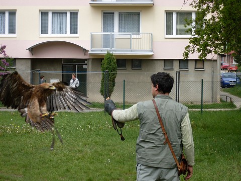 img00028.jpg