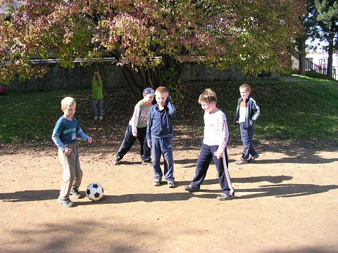 img00006.jpg