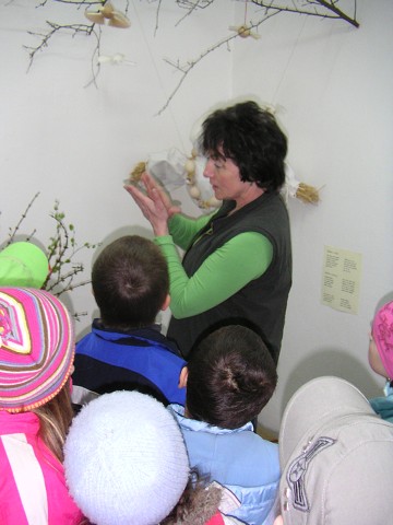 img00011.jpg