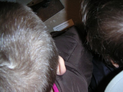 img00040.jpg