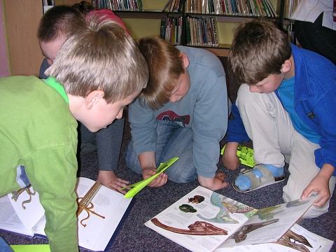 img00006.jpg