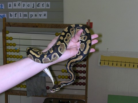 img00001.jpg