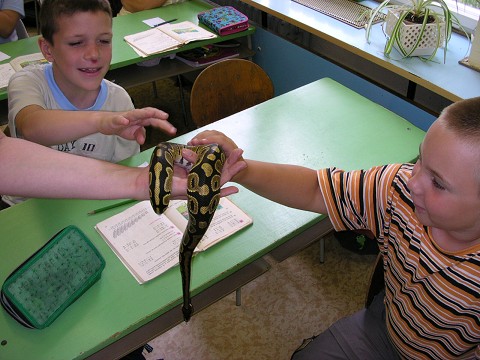 img00002.jpg