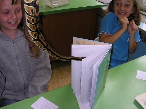 img00003.jpg