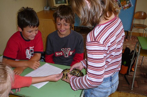 img00006.jpg