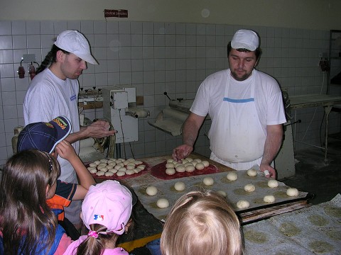 img00004.jpg
