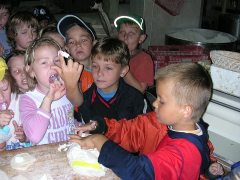img00010.jpg