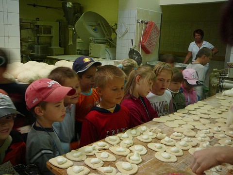 img00026.jpg