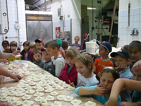 img00028.jpg