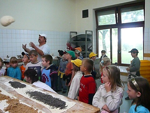 img00035.jpg